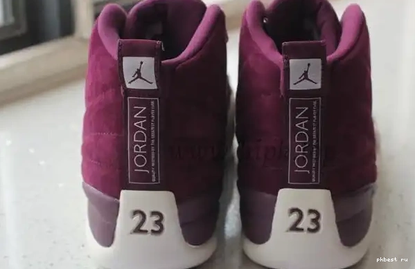 12 Authentic “Bordeaux” Jordan Air 0508